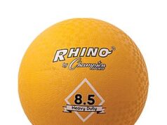 $6.22 – Amazon Business offers 8.5″ Champion Sports Heavy Duty Playground Ball for + Free Shipping with Prime or on $35+ Champion Sports Heavy Duty Playground Ball on Amazon