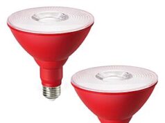 $7.99 – 2-Pack EDISHINE Dimmable Outdoor LED Flood Light Bulbs (Red, 120W Equivalent) ($3.99 each) + Free Shipping w/ Prime or on $35+ 2-Pack EDISHINE Dimmable Outdoor LED Flood Light Bulbs (Red, 120W Equivalent)