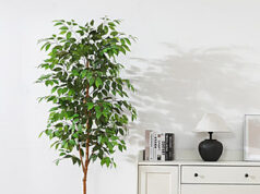 $24.99 – DR.Planzen Artificial Plants: Ficus Tree w/ 5″ Pot from , Eucalyptus Tree w/ Decorative Basket from $36.29 & More + Free S&H w/ Walmart+ or on $35+ DR.Planzen Artificial Plants: Ficus Tree w/ 5" Pot from Eucalyptus Tree w/ Decorative Basket from