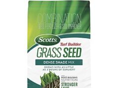 $27.98 – Scotts Turf Builder Grass Seed 5.6-lb. Dense Shade Mix scotts turf builder grass product image