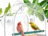 $7.83 – SUNALLY Window Bird Feeder w/ Strong Suction Cups (Style 4) + Free Shipping SUNALLY Window Bird Feeder with Strong Suction Cups in use