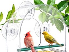$7.83 – SUNALLY Window Bird Feeder w/ Strong Suction Cups (Style 4) + Free Shipping SUNALLY Window Bird Feeder with Strong Suction Cups in use