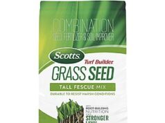 $11.87 – Scotts Turf Builder Tall Fescue Grass Seed Mix – Lowest Price Ever on Amazon with Subscribe & Save and Free Shipping Scotts Turf Builder Tall Fescue Grass Seed Mix in a 5.6-pound bag