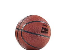 $3.66 – SKLZ Pro Mini Hoop 5-Inch Rubber Basketball: + Free Shipping w/ Prime or on $35+ SKLZ Pro Mini Hoop 5-Inch Rubber Basketball