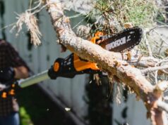 $120.00 – Worx Nitro 20V 8-inch Cordless Electric Pole Saw with 13.3-feet of reach is keeping to its $120 Prime Day rate Worx Nitro 20V Cordless Electric Pole Saw