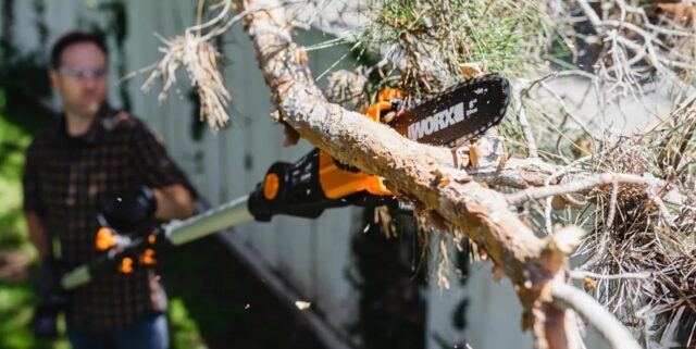 Worx Nitro 20V Cordless Electric Pole Saw