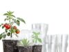 $9.99 – 36-Pack Bluepro Clear Nursery Pots w/ Humidity Domes (3.5″, 4″ & 5″) + Free Shipping w/ Prime or on $35+ 36-Pack Bluepro Clear Nursery Pots w/ Humidity Domes (3.5", 4" & 5") + Free Shipping w/ Prime or on