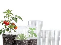 $9.99 – 36-Pack Bluepro Clear Nursery Pots w/ Humidity Domes (3.5″, 4″ & 5″) + Free Shipping w/ Prime or on $35+ 36-Pack Bluepro Clear Nursery Pots w/ Humidity Domes (3.5", 4" & 5") + Free Shipping w/ Prime or on