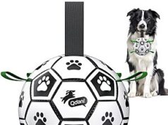 $8.44 – 6″ QDAN Dog Soccer Ball w/ Straps (Black/Green) + Free Shipping w/ Prime or on $35+ 6" QDAN Dog Soccer Ball w/ Straps (Black/Green) + Free Shipping w/ Prime or on +