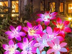 $15.99 – 5-Pack Aukora Solar LED Lily Flower Garden Lights w/ 7-Color – + Free Shipping with Prime or on $35+ 5-Pack Aukora Solar LED Lily Flower Garden Lights w/ 7-Color Changing