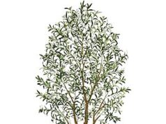 $59.99 – 8′ Vitalismo Artificial Olive Tree w/ Black Planter at Lowest Price Ever on Amazon 8' Vitalismo Artificial Olive Tree with Black Planter
