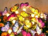 $11.49 – 2-Pack Bonlion Solar Swaying Butterfly Garden Stake Lights w/ 16 Butterflies & 16 LED Orbs – 50% off with Promo Code 9ZP85WPJ at Checkout 2-Pack Bonlion Solar Swaying Butterfly Garden Stake Lights