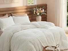 $23.99 – Prime Members: Bedsure GentleSoft Fluffy Comforter Set (Queen, Cream White) & Free Shipping 3-piece Bedsure GentleSoft Fluffy Comforter Set on Amazon