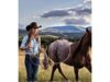 $14.99 – Heartland: Seasons 1-18 Collection (Bundle) Heartland: Seasons 1-18 Collection Bundle on FandangoNOW