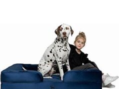 $54.16 – NOAH & PAW XL Orthopedic Dog Bed w/ Cooling Gel Memory Foam (Navy or Dk. Green) (45″ x 35″ x 11″) + Free Shipping NOAH & PAW XL Orthopedic Dog Bed with Cooling Gel Memory Foam