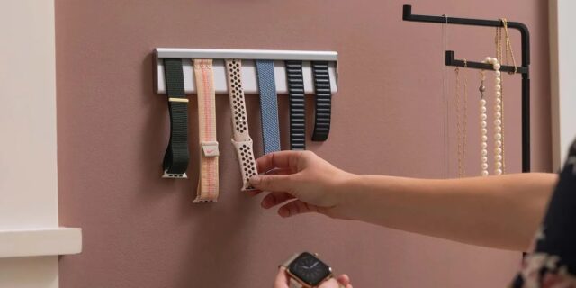Twelve South TimePorter Watch Strap Organizer for Apple Watch