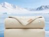$10.00 – PPOLCA Cooling Waterproof Pet Blanket for Small Dogs on Sale at Amazon – Only $10 PPOLCA Cooling Waterproof Pet Blanket for small dogs