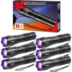 $13.49 – 6-Pack Staaricc 395nm UV Black Light Flashlight on Sale at $2.25 Each with Free Shipping