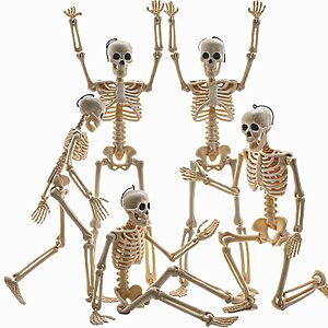 $5.99 – 5-Count 16″ Feir Posable Full-Body Halloween Skeleton Decorations w/ Movable Joints  + Free Shipping w/ Prime or on $35+
