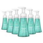$10.02 – SnS, AC * | 6-Pack 10-Oz Method Foaming Hand Wash (Waterfall) at Amazon