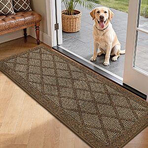 $14.24 – 20″ x 48″ COSY HOMEER Non-Slip Low Profile Entryway Door Mat (Brown)  + Free Shipping